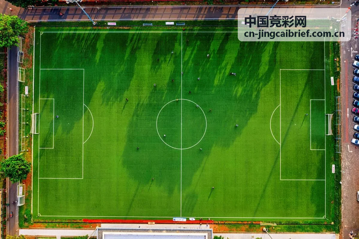 中国竞彩网任九策略指导